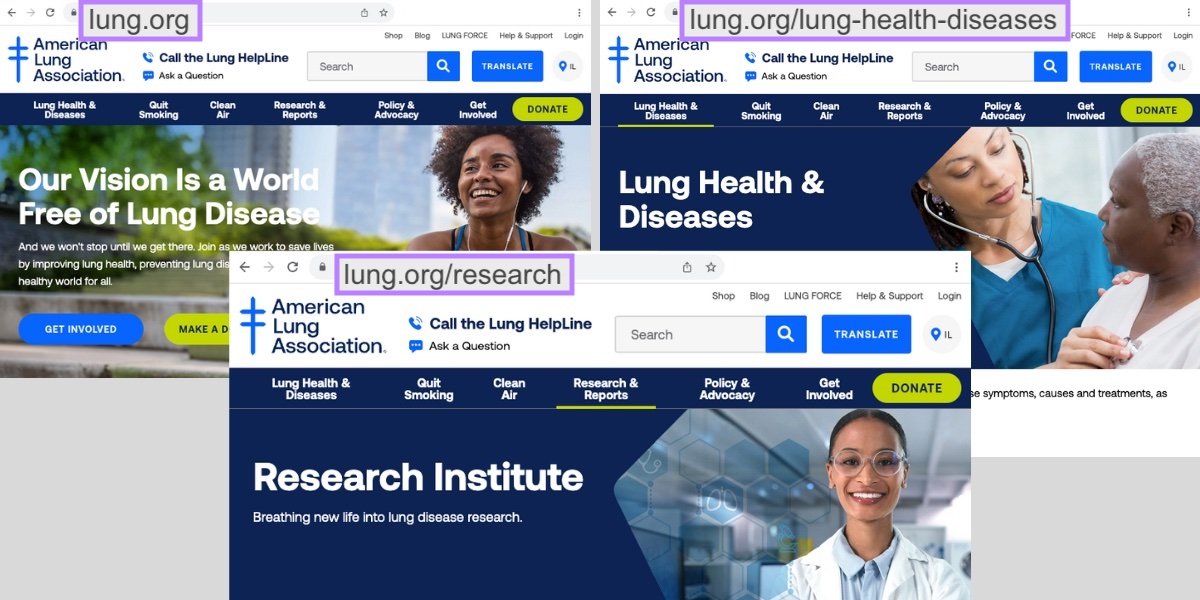 American Lung Association's subfolders